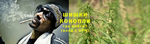 спайс Белокуриха