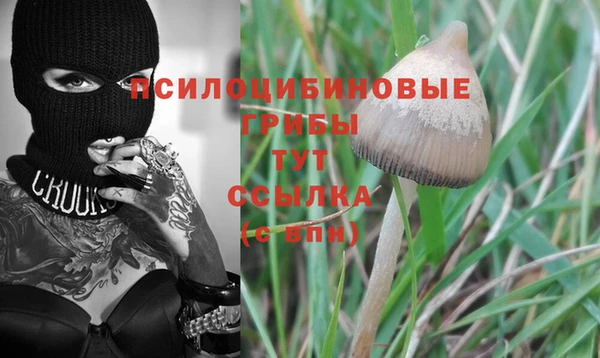 ALPHA PVP Покров