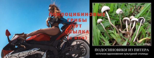 спайс Белокуриха
